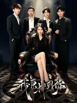 寻爱之旅：深度解析《我要找到你＆恋爱模拟遇真心》