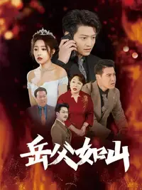 《岳父的礼物》：一段关于亲情与理解的温暖旅程