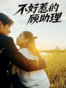 顾助理不好惹？揭秘职场秘辛与爱情的《不好惹的顾助理》