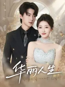 《华丽人生》：残酷现实下的温情救赎，感动催泪！