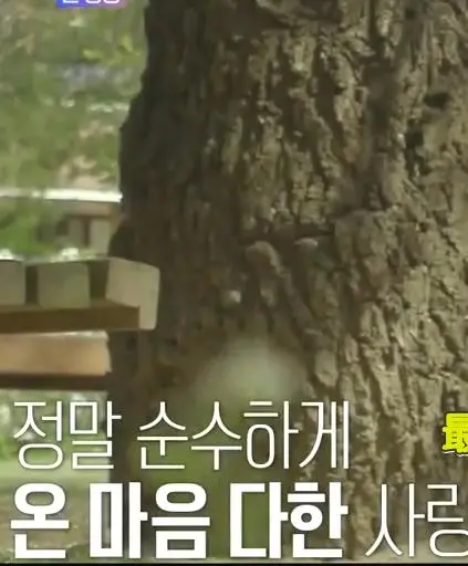 《再次初恋》：重温心动，找回最初的爱恋与美好