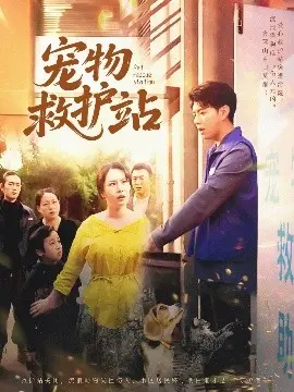 《宠物救护站》：暖心治愈之旅，爱与责任的动人乐章，守护毛孩子的希望！