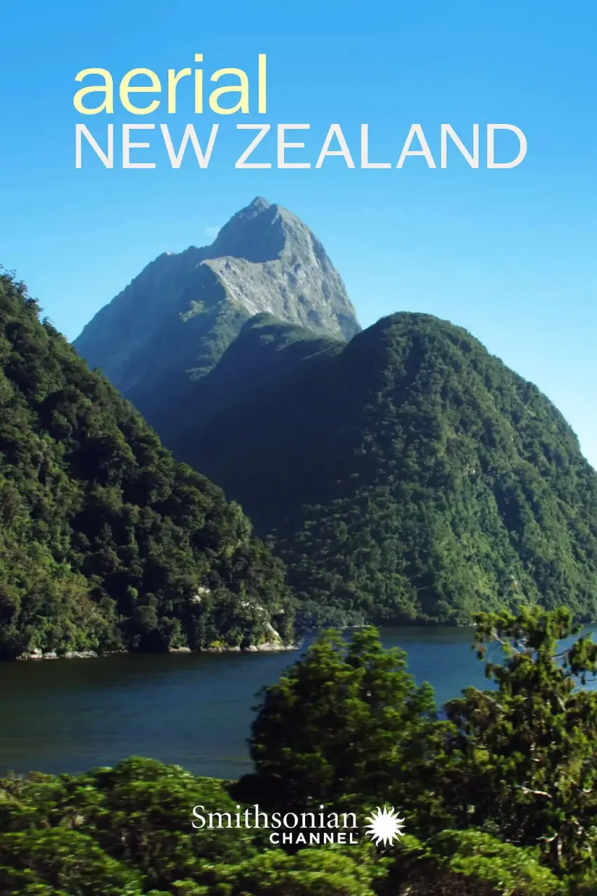 翱翔天际的隐患？电影《新西兰航空》揭秘：航班背后的真相与未知风险