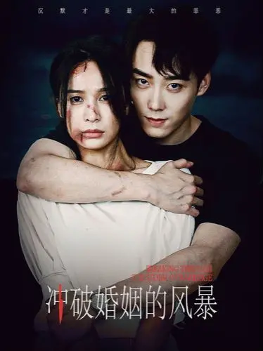 《冲破婚姻的风暴》：年度情感力作，揭露婚姻真相，寻找自我救赎之路！