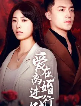 《爱在离婚进行时》：当爱情走到尽头，放手才是最好的礼物？婚姻情感深度剖析