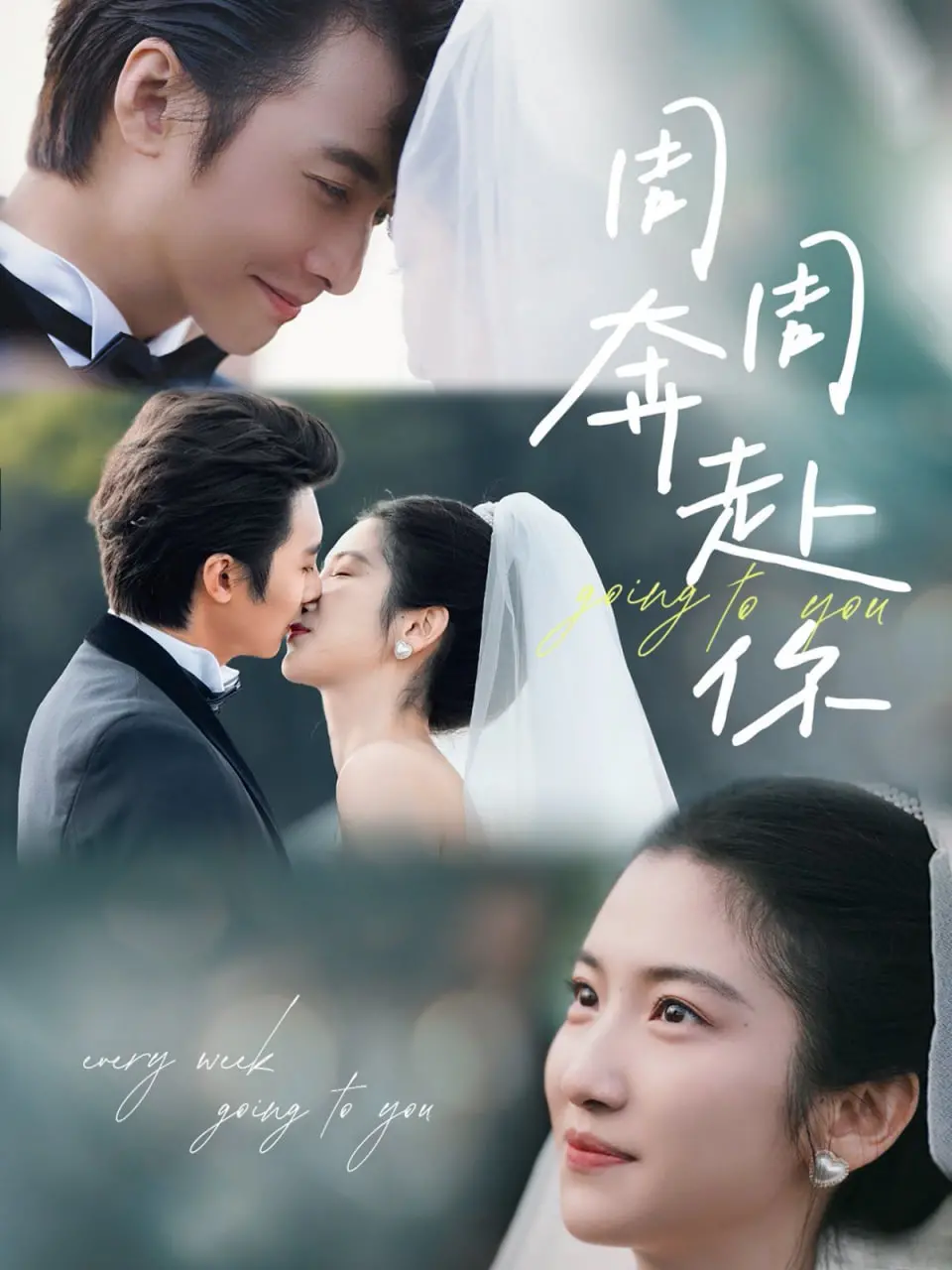 《周周奔赴你》：穿越时空的深情，致敬每一场不畏艰险的奔赴